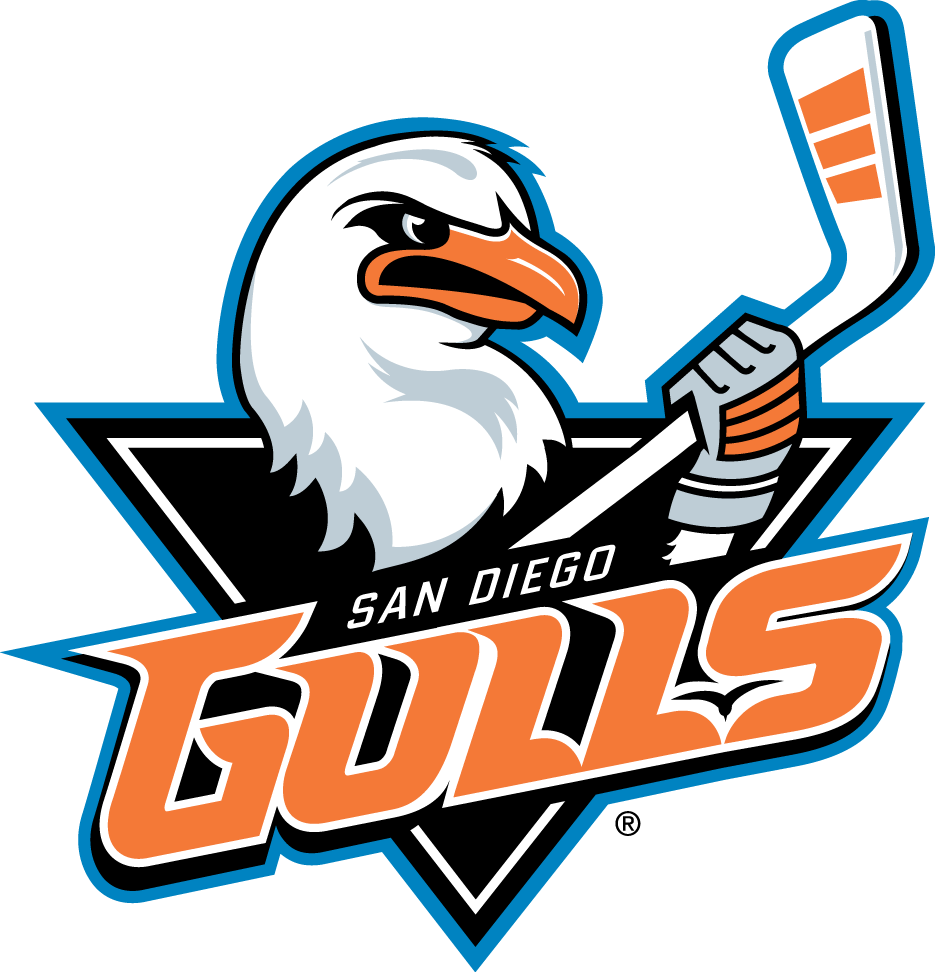 San Diego Gulls 2015-Pres Primary Logo iron on transfers for T-shirts